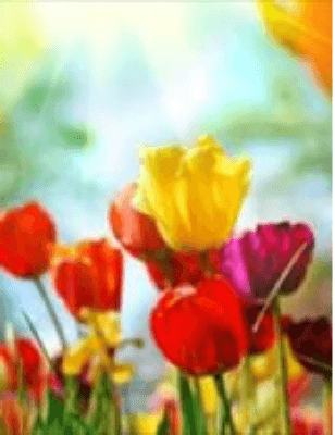 Marion Moon Obituary
