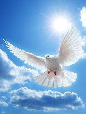 Steven Victor Barbieri Obituary