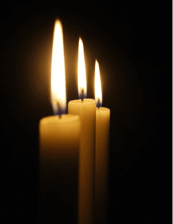Steven Donald Johnson Obituary