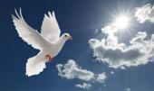 Freeda Mae Fowler Obituary