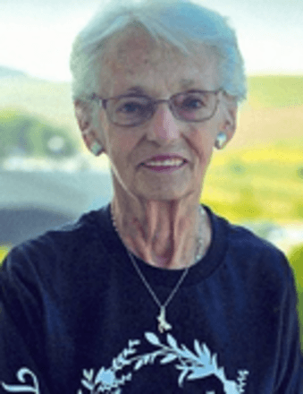 Judith A. Schneider Obituary