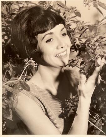 Alice G. Ducas Obituary