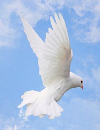 Rebecca Marie Saul Obituary