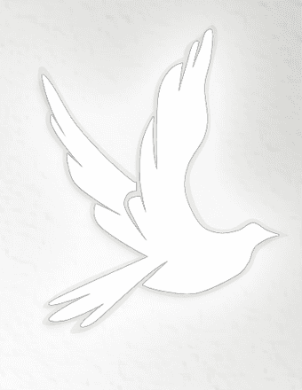 Rochelle Johnson Obituary