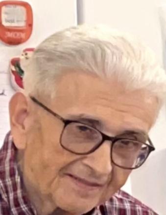 Steven Lanzola Obituary