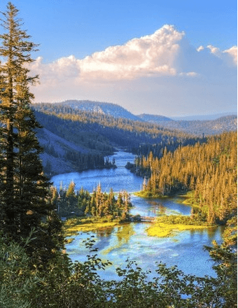 Cheryl L Sowards Obituary