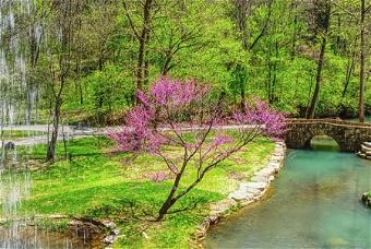 Philip Stribling Obituary